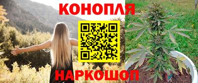 амф Можга