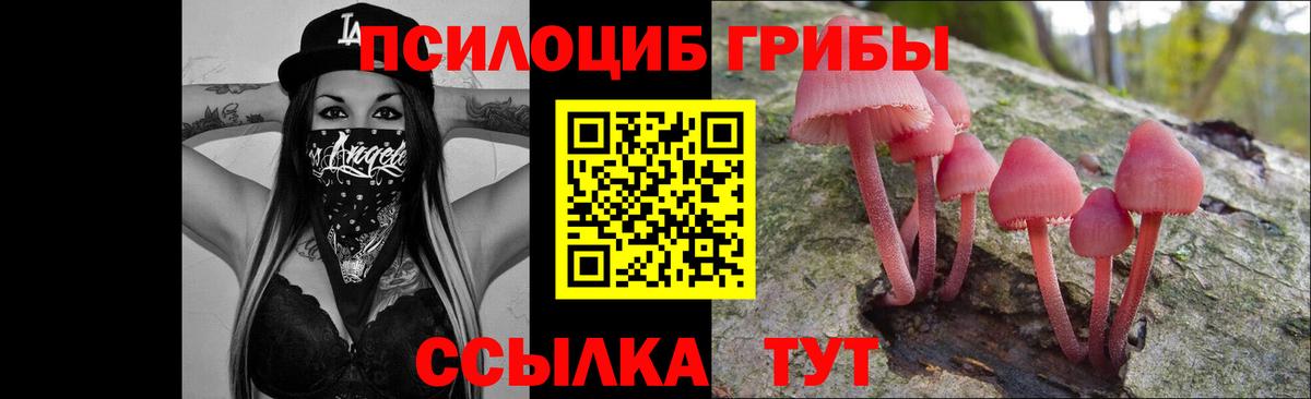 Балтийск  Псилоцибиновые грибы Psilocybine cubensis  Вход с VPN 
